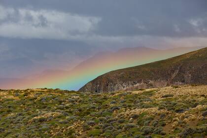 En diciembre pasado, por presión de los productores se frenó en la Legislatura provincial el proyecto que aprobaba la ampliación en 500.000 hectáreas