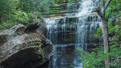 Parque Nacional de Chiribiquete, Colombia
Foto: Jorge Mario Álvarez Arango / EL TIEMPO