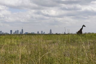 Los argentinos que emprenden en el país más importante del este de África