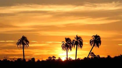 Parque Nacional El Palmar
