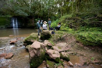 Parque Nacional El Rey, Salta