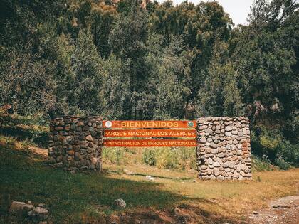 Parque nacional Los Alerces