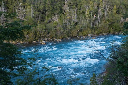 Parque Nacional Los Alerces