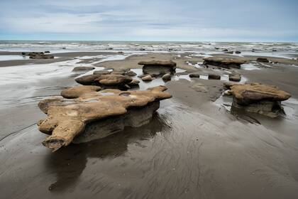 Parque Nacional Monte León