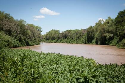 Parque Nacional Pre Delta