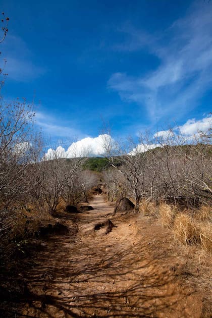 Parque Nacional rincón de la Vieja en Costa Rica.