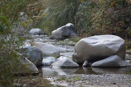 Parque Nacional Rio Clarillo en Pirque