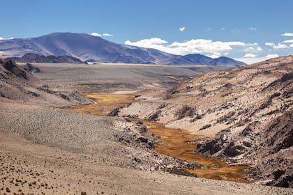 El PN San Guillermo es un territorio de 166.000 hectáreas. Conforma la zona núcleo, la más protegida, de la Reserva de Biósfera del mismo nombre.