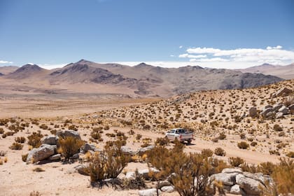 Parque Nacional San Guillermo, San Juan, Argentina