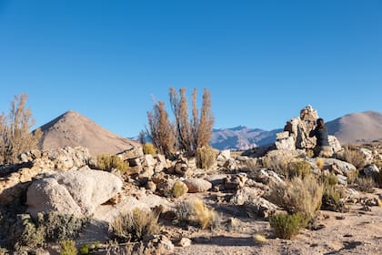 Parque Nacional San Guillermo, San Juan, Argentina
