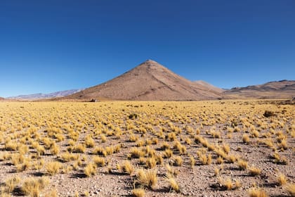 El cerro Potosí domina esta panoramica, donde el pasto coirón es el rey.