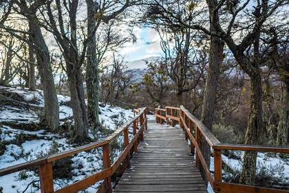Parque Nacional Tierra del Fuego