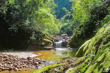 Parque Nacional Calilehua