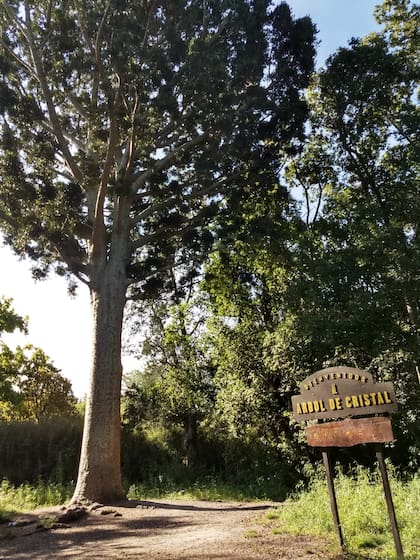 Parque Pereyra Iraola: cuáles son los accesos y medios de transporte disponibles