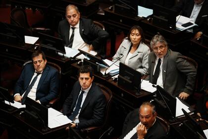 Parte de la bancada kirchnerista en el Senado de la Nación