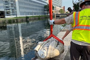 Trump instaló una estatua de Cristóbal Colón en la Casa Blanca