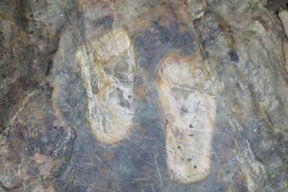 Parte de la investigación halló rastros de la vida cotidiana (Instagram/ @Dr_TheHistories)