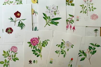 Parte de la obra de Lorraine Green