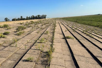 Parte de la obra en el campo de Micheli