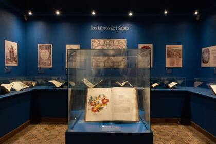 Parte de la obra que Miguel Lillo donó a su fundación.