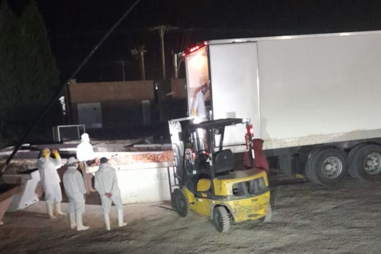 “Catástrofe ecológica”: denuncian que se tiraron langostinos por el equivalente a cinco estadios de fútbol