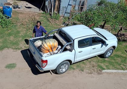 Parte de la producción fue donada a un hospital local donde funciona un espacio para adultos mayores
