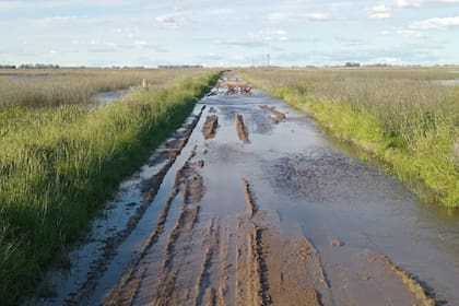 Parte de los caminos afectados en Corbett
