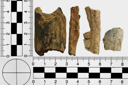 Parte de los huesos hallados estaban convertidos en ceniza