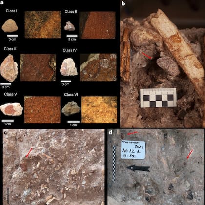 Parte de los pigmentos y restos óseos que se hallaron en la cueva