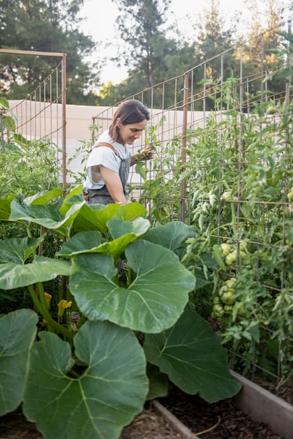 Parte de su huerta agroecológica.