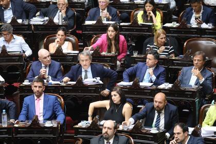 Parte del bloque libertario en el recinto, durante la votación en particular del proyecto de ley ómnibus