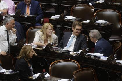 Parte del bloque que preside Miguel Ángel Pichetto, de 22 integrantes