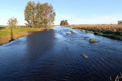 Parte del camino que la productora hace a caballo