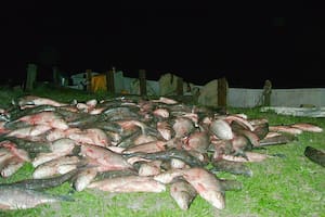 Obtenían fortunas por lo que pescaban a mansalva y, de paso, contrabandeaban fernet a Uruguay