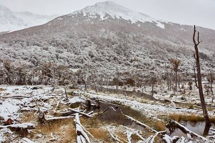 Parte del circuito en Ushuaia. 