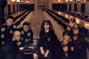 Parte del elenco de Harry Potter