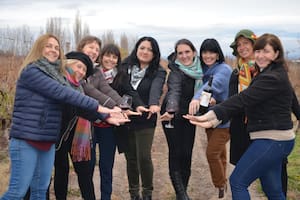 21 mujeres rompieron un patrón cultural y hoy tienen su propio vino