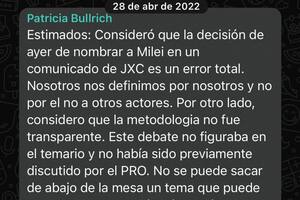 Parte del mensaje que mandó Patricia Bullrich a sus socios