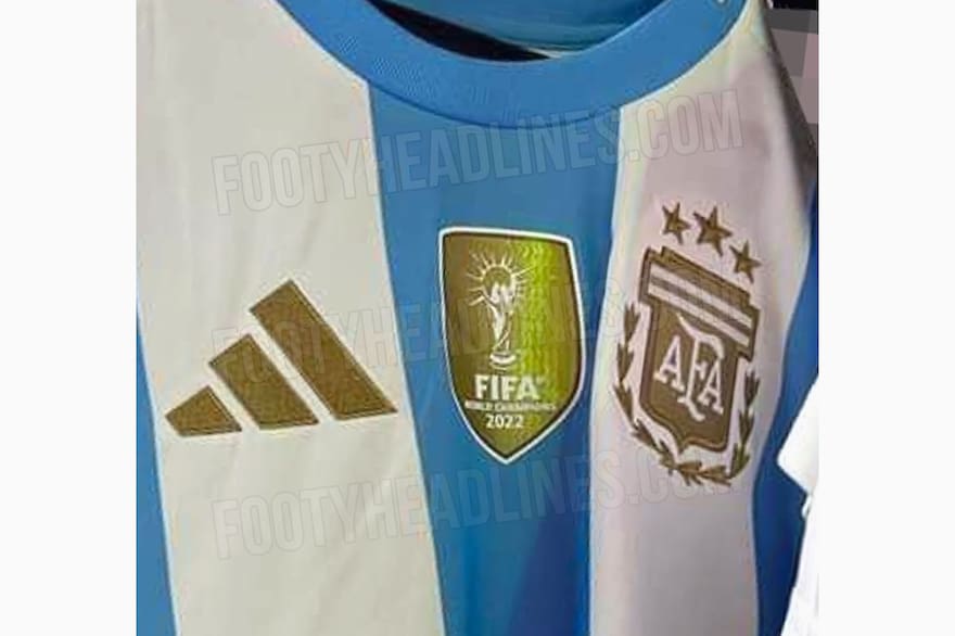 La nueva camiseta titular de la Selección argentina 2021: diseño, fotos,  precio y cuándo se estrena