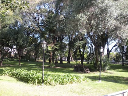 Parte del parque de la Quinta Trabucco, con gran variedad de árboles que tienen más de cien años 