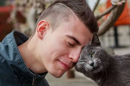 Parte del problema es que hemos malinterpretado las señales de los gatos