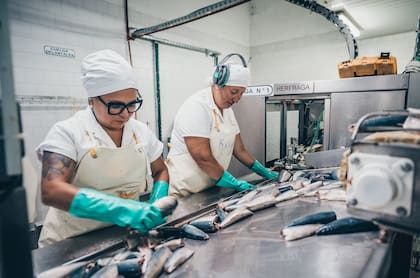 Parte del proceso productivo de Marechiare