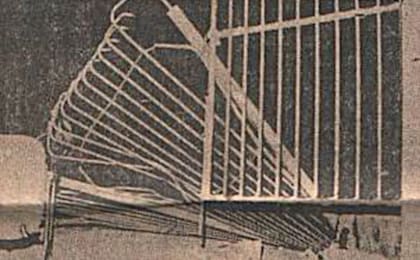 Parte del público rompió las rejas del estadio para intentar tener una mejor vista del recital; a todos ellos los detuvieron