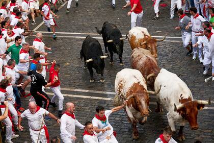 Participantes corren con toros de la ganadería Fuente Ymbro durante el primer día de encierros en las fiestas de San Fermín en Pamplona, España, el lunes 7 de julio de 2025. (AP Foto/Miguel Oses)