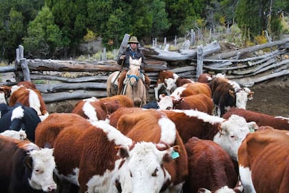 Participar en las tareas rurales es parte de la propuesta de Río Minero.