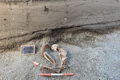 Pasar de esta imagen a una recreación de carne y hueso es muy esperanzador para las investigaciones arqueológicas