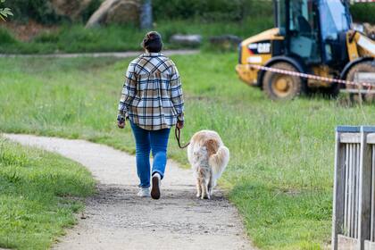 Pasar tiempo de calidad con los perros ayuda a manejar lo emocional