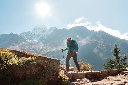 Pasar tiempo en la naturaleza y tener experiencias que inspiran asombro reducen el estrés y la ansiedad