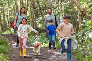 Cómo estar apenas 20 minutos en contacto con la naturaleza puede mejorar tu salud