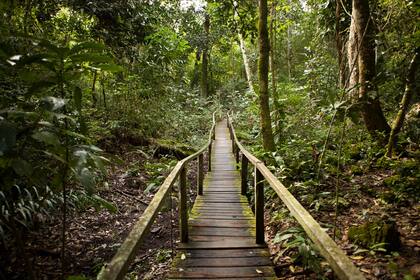 Pasarela en Estancia Mimosa en Bonito.